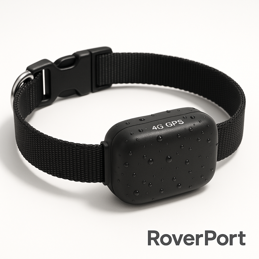 RoverPort™ 4G Pet GPS Collar – Real-Time Tracking & Safety Anywhere